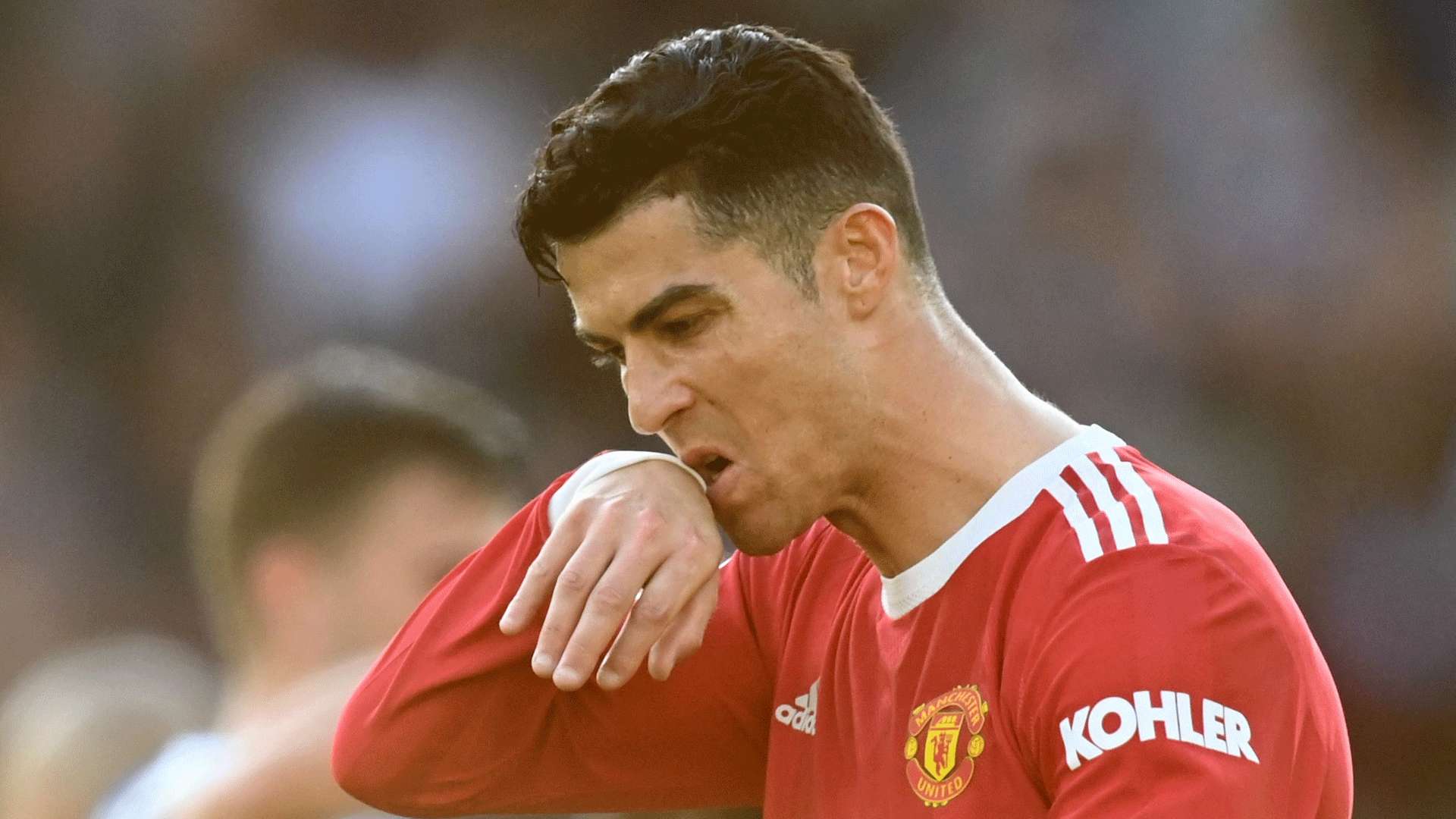 地和完善的 地和完善的